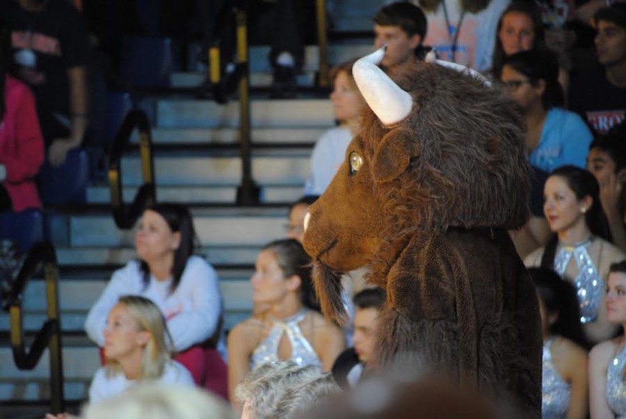 Bernie the bison building BG pride.