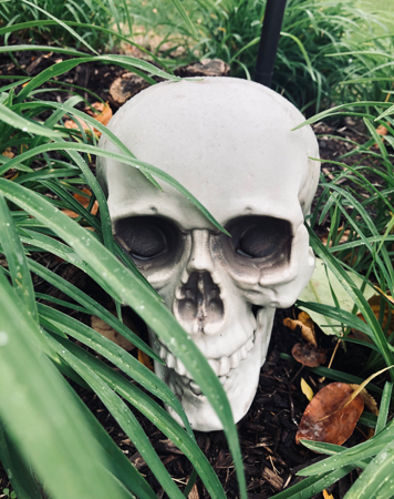 Skulls are just one of the many creepy symbols of the Halloween season.